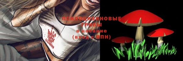 кокс Алексин