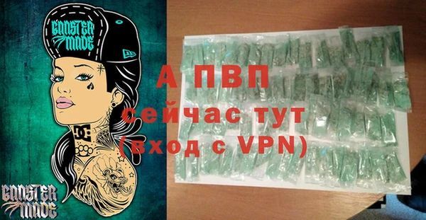 прущие грибы Новозыбков